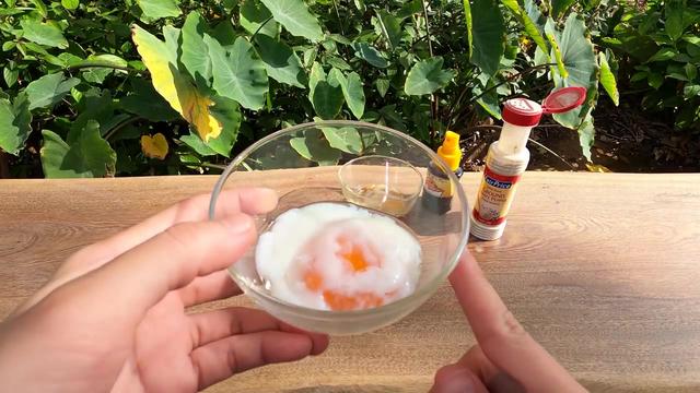旅行见闻 在新加坡温泉煮鸡蛋