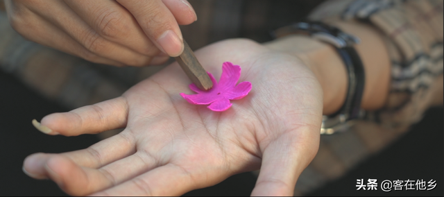 丰顺埔寨纸花：似花而非花，巧手夺造化