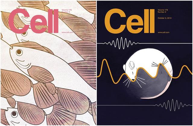 科研期刊 | 盘点25张Cell正刊封面，哪张最能打动你？