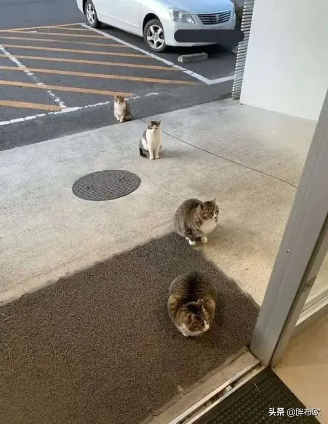 新加坡距离管控就是严格