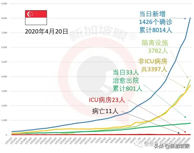 新增1111例 | 新加坡前外长：中国或能率领全球走出经济衰退