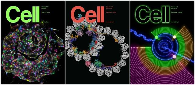 科研期刊 | 盘点25张Cell正刊封面，哪张最能打动你？