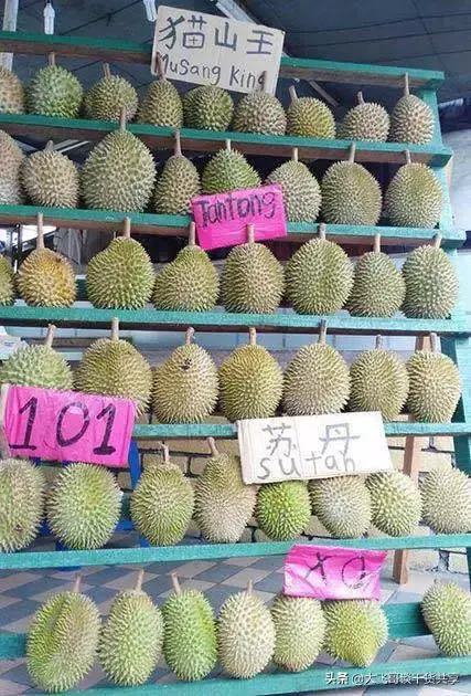 超市里的泰国榴莲和马来西亚榴莲有什么区别？看完才知道自己OUT