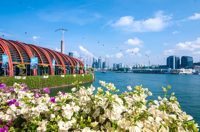 中国和新加坡的教育制度有什么不同？你更喜欢哪个呢？