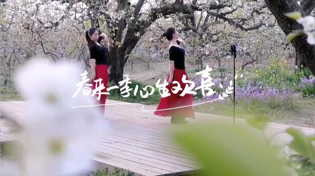 春游江淮请你来 | 因为疫情迟到的春天·宿州3日游