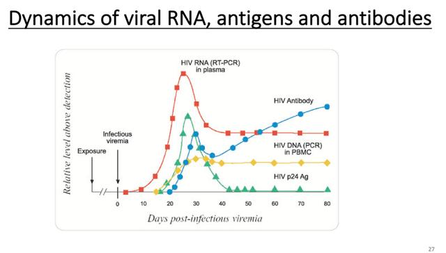 金冬雁：前6种人类冠状病毒和HIV研究带来的抗击新冠思路