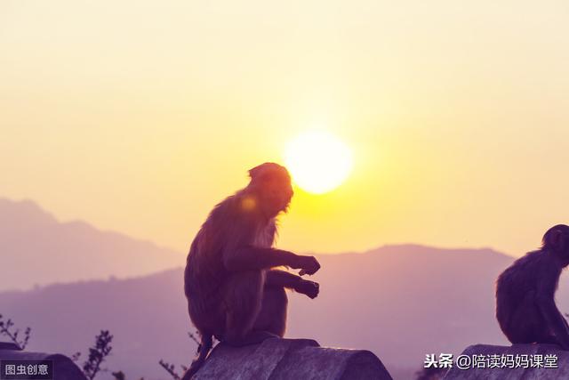 描写自然景物的好句好段，简直美得不像话，写作用得着