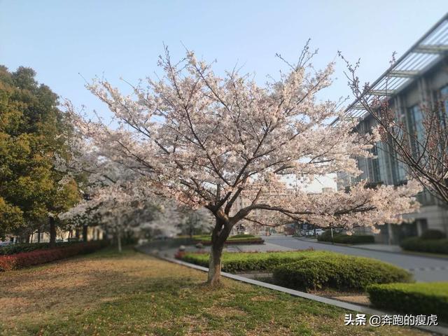2020年第一季度消费观察