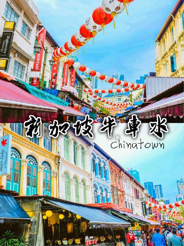 具有年味的新加坡唐人街 牛车水张灯结彩的，每年新春春节感觉这里的华人过春节比我们还热闹。其实新加坡本身就是一个华人占大多数的独立国家，所以牛车水并不像其他国家的Chinatown一样，好像华人就应该且