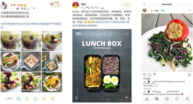 鲜活螺旋藻风靡欧美 专家：未经加工的鲜活螺旋藻远超加工后产品