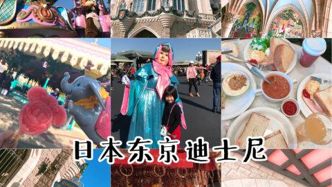 日本东京八日游酒店交通 · 迪士尼|浅草寺|新宿|台场