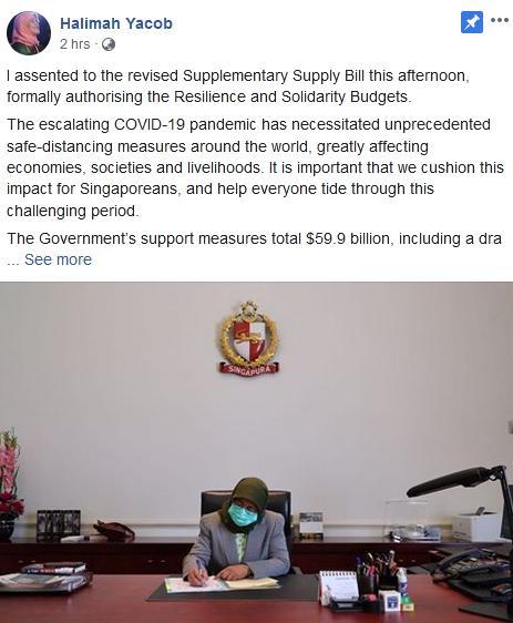 新加坡总统批准动用国家储备预算案 吁遵守阻断措施