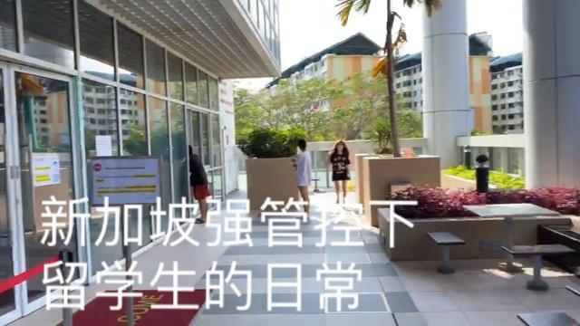 留学生带你看，国外新加坡强管控下人们如何生活