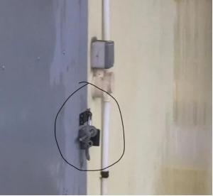 新加坡客工隔离憋难受，开始向“网红”转型...