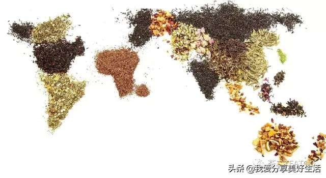 茶二给茶一个年轻的机会