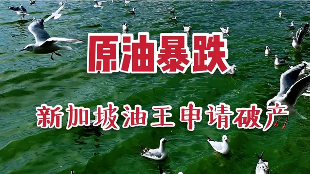 原油暴跌，新加坡油王申请银行破产