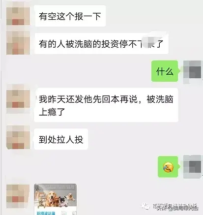 “波比宠物”BPC操盘手，所谓的国际大盘、实体落地都是在忽悠你
