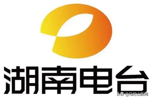 湖南省市场监督管理局发布2019年湖南十大知识产权保护典型案例