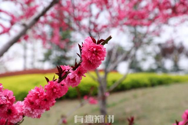 人少还免费！郑州西南地区的生态广场，解锁春日周末新去处