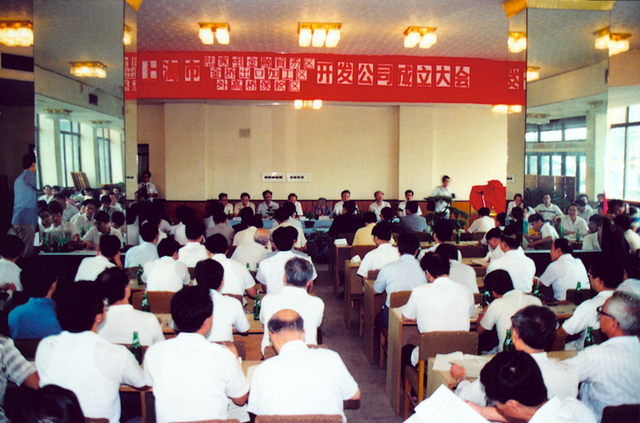30年·浦东故事｜只有3000万，自己去闯