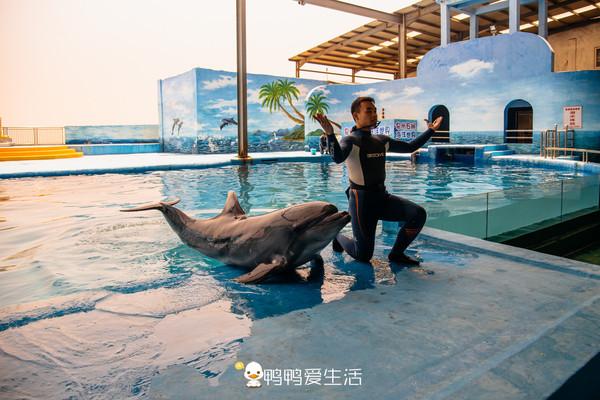 泉州海边这艘“船”里面藏着海洋世界，以大海为背景，充满童趣