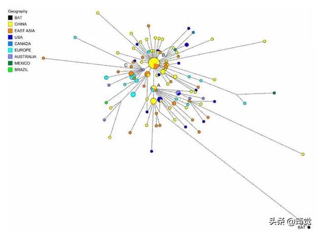 剑桥溯源新冠病毒：最原始毒株普遍存在于美国 中国的是变异毒株