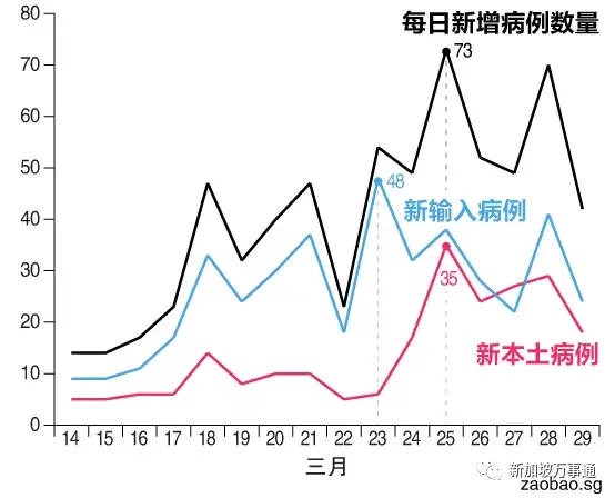 新冠肺炎已在新加坡形成广泛传播？！专家：接下来2周是关键期