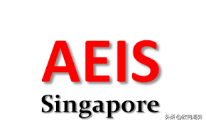 2020年S-AEIS放榜，带您了解考后注意事项和新加坡政府中小学