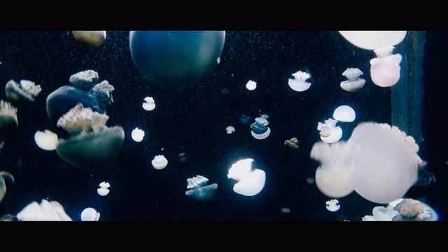 新加坡|一次教你圣淘沙怎么玩