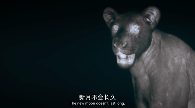 豆瓣9.4，第一次见到如此高清的「夜生活」
