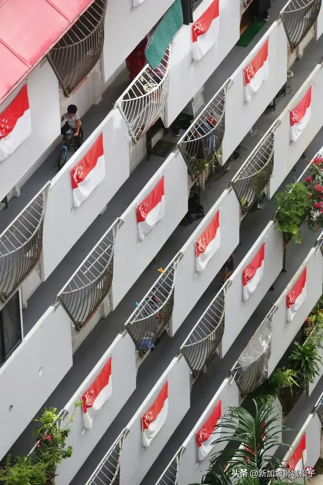 新加坡新增7个感染群，9例为社区传播！可悬挂国旗团结抗疫！
