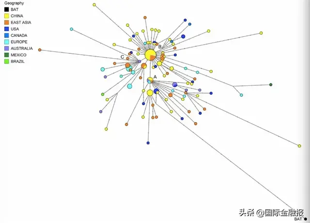 英德研究者溯源新冠病毒：原始类型（A类）集中出现于美国和澳大利亚