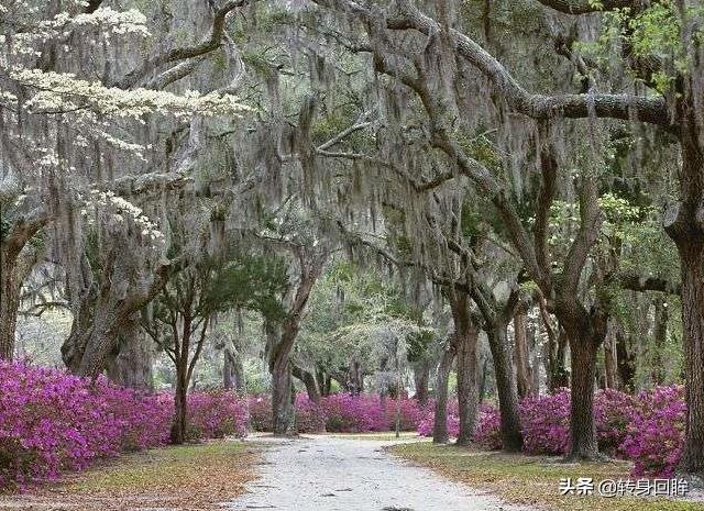 世界各地50条街道的四季景色摄影，每一幅都置身在彩色的天堂里