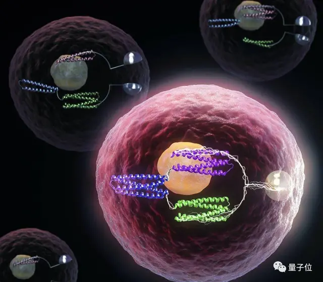Science：用蛋白质造逻辑门，细胞能变“计算机”，真·碳基电路