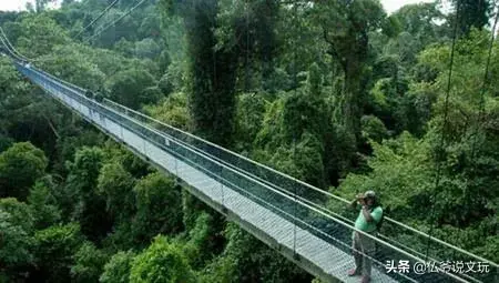 二战时期四大未解之谜，日本军队遭遇未知生物袭击！