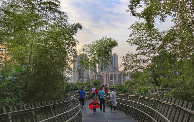 中国最美步道，由新加坡设计师设计，漫步城市森林上空幸福感极强