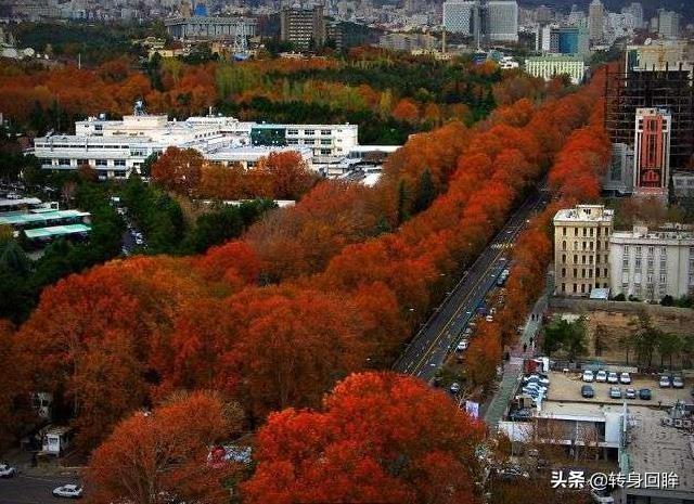 世界各地50条街道的四季景色摄影，每一幅都置身在彩色的天堂里