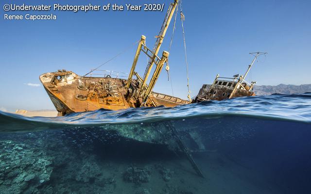 探索海底秘境！2020 年度水下摄影大赛获奖作品集