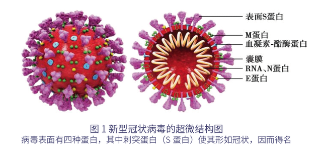 海外留学人员新型冠状病毒防控指南