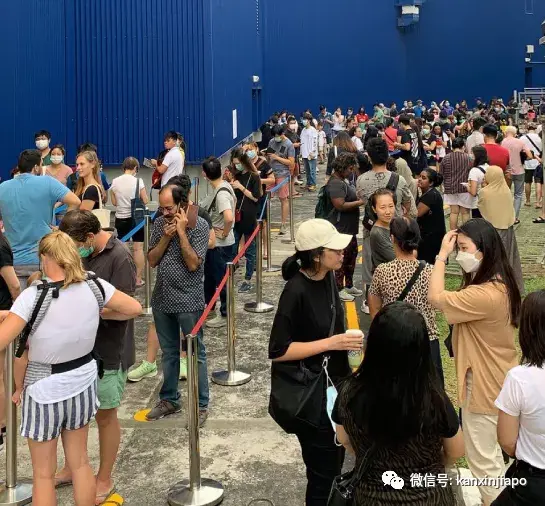 在家闭关前疯狂抢货？新加坡这些地方人从众𠈌
