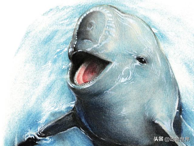 我们不在的世界，它们更乐在其中！