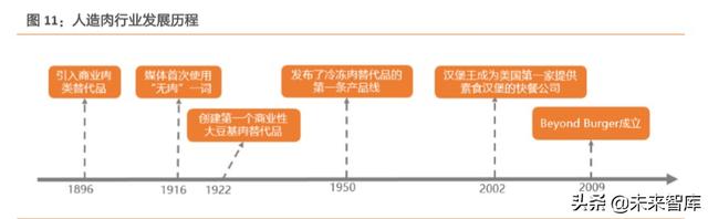 人造肉行业深度报告：蛋白新能源，探索人造肉行业革命之路