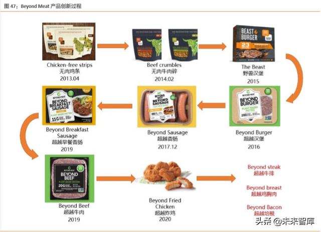 人造肉行业深度报告：蛋白新能源，探索人造肉行业革命之路