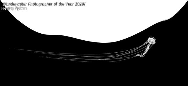 探索海底秘境！2020 年度水下摄影大赛获奖作品集