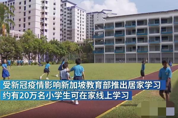 新加坡藤条断货！孩子上网课第一天，妈妈：才发现你这么欠揍！