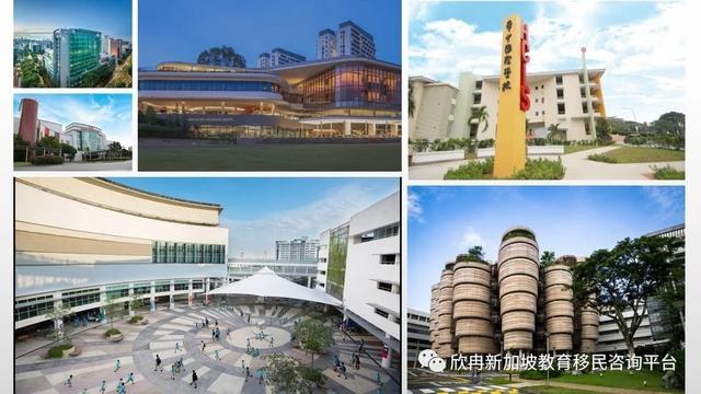 4月11日新加坡“移民置业留学”在线讲座圆满结束