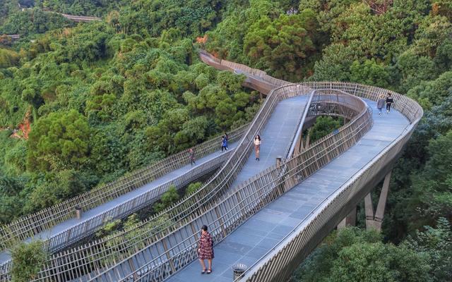 中国最美步道，由新加坡设计师设计，漫步城市森林上空幸福感极强