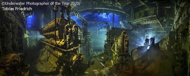 探索海底秘境！2020 年度水下摄影大赛获奖作品集