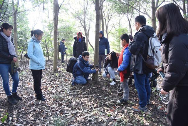 上海多个小区发现貉，复旦学者称野生动物与人距离会更近