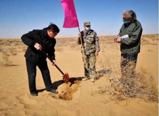 老虎证券推出环保项目“老虎森林”再度携手阿拉善生态基金会修复荒漠生态